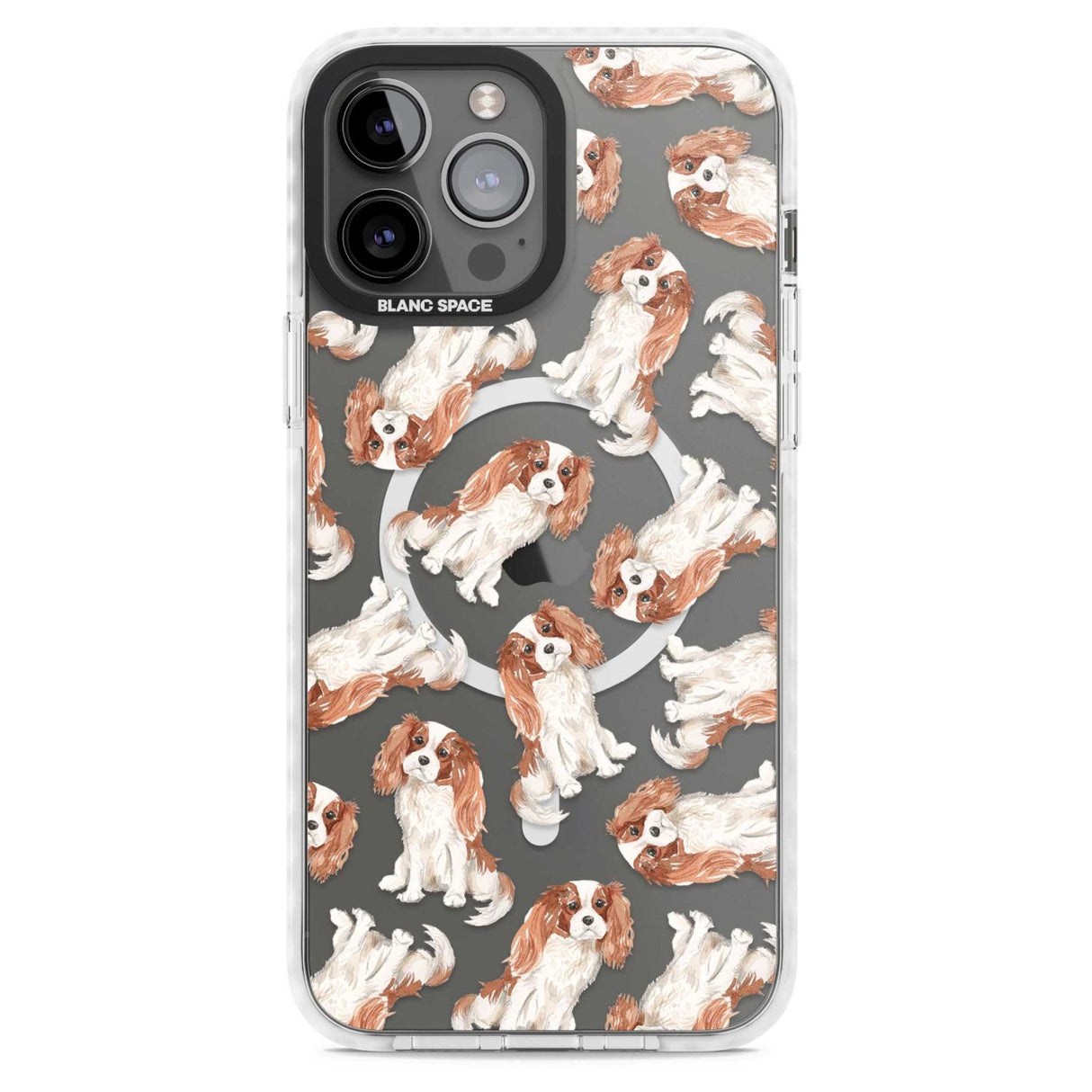 Cavalier King Charles Spaniel Dog Pattern