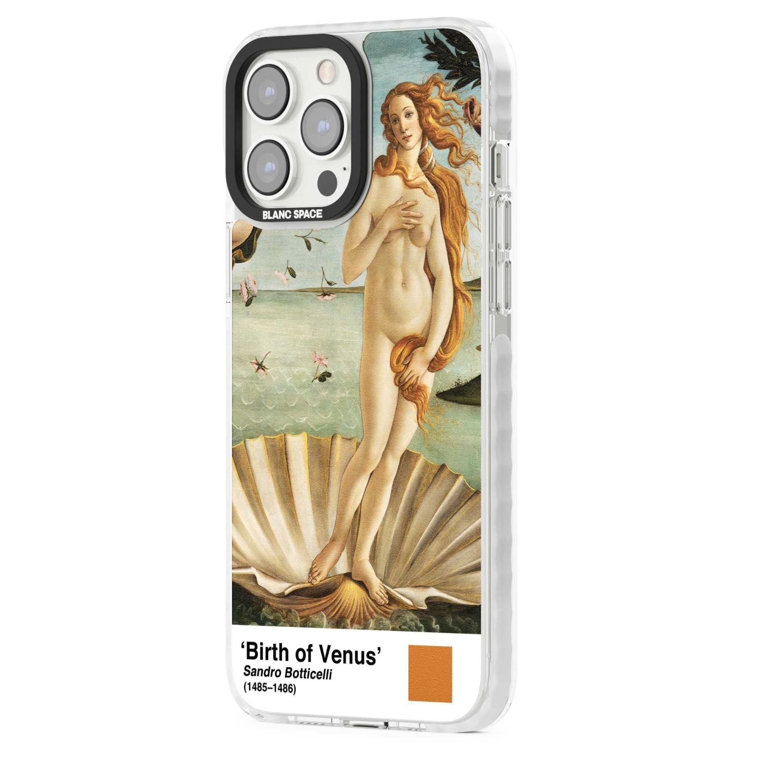 The Birth Of Venus