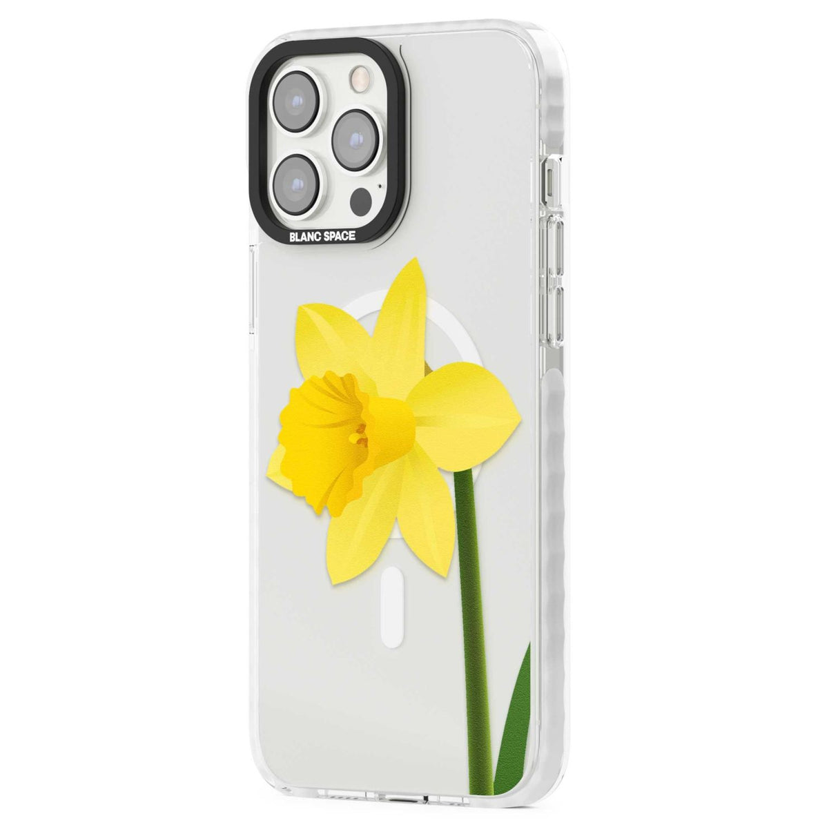 Daffodil