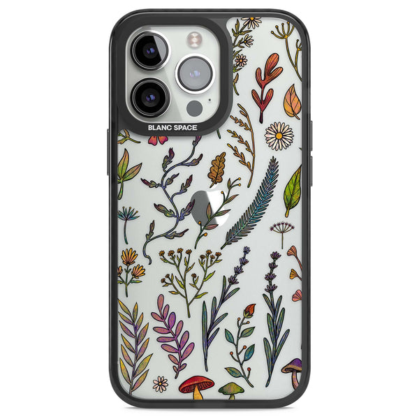 Autumn Wildflowers