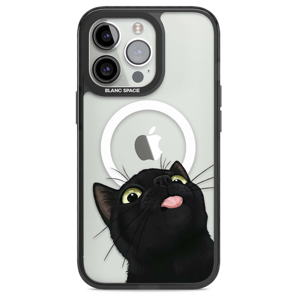 Black Cat Energy