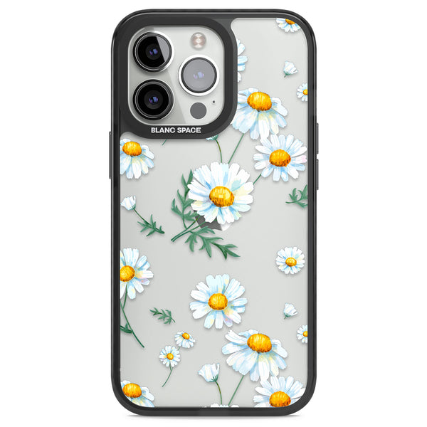 Vintage Painted Daisies