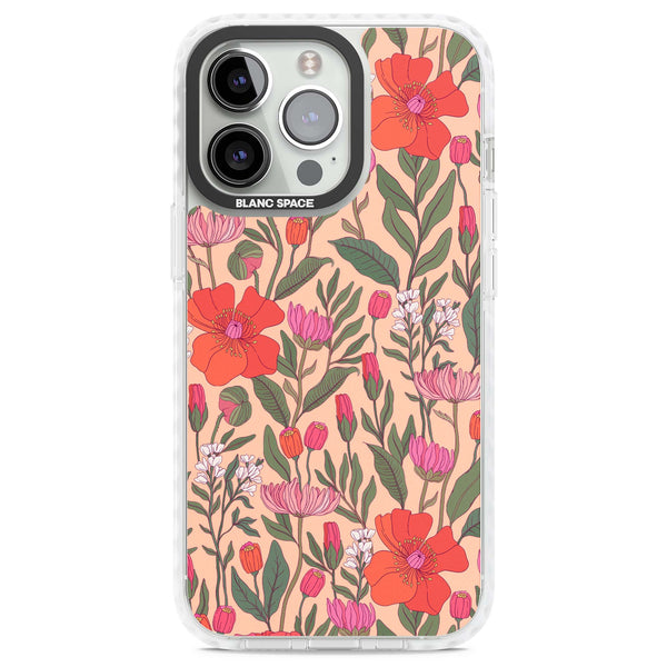 Coral Meadow