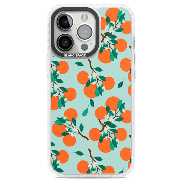 Orange Grove