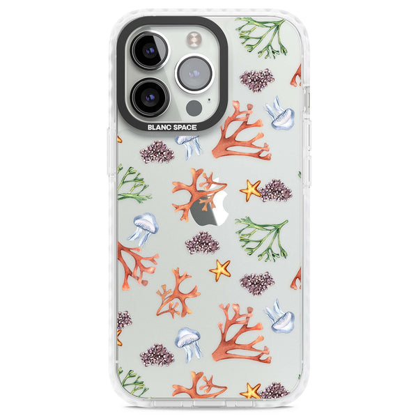 Coral & Jellyfish