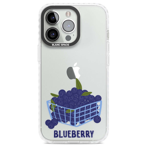 Blueberry Basket