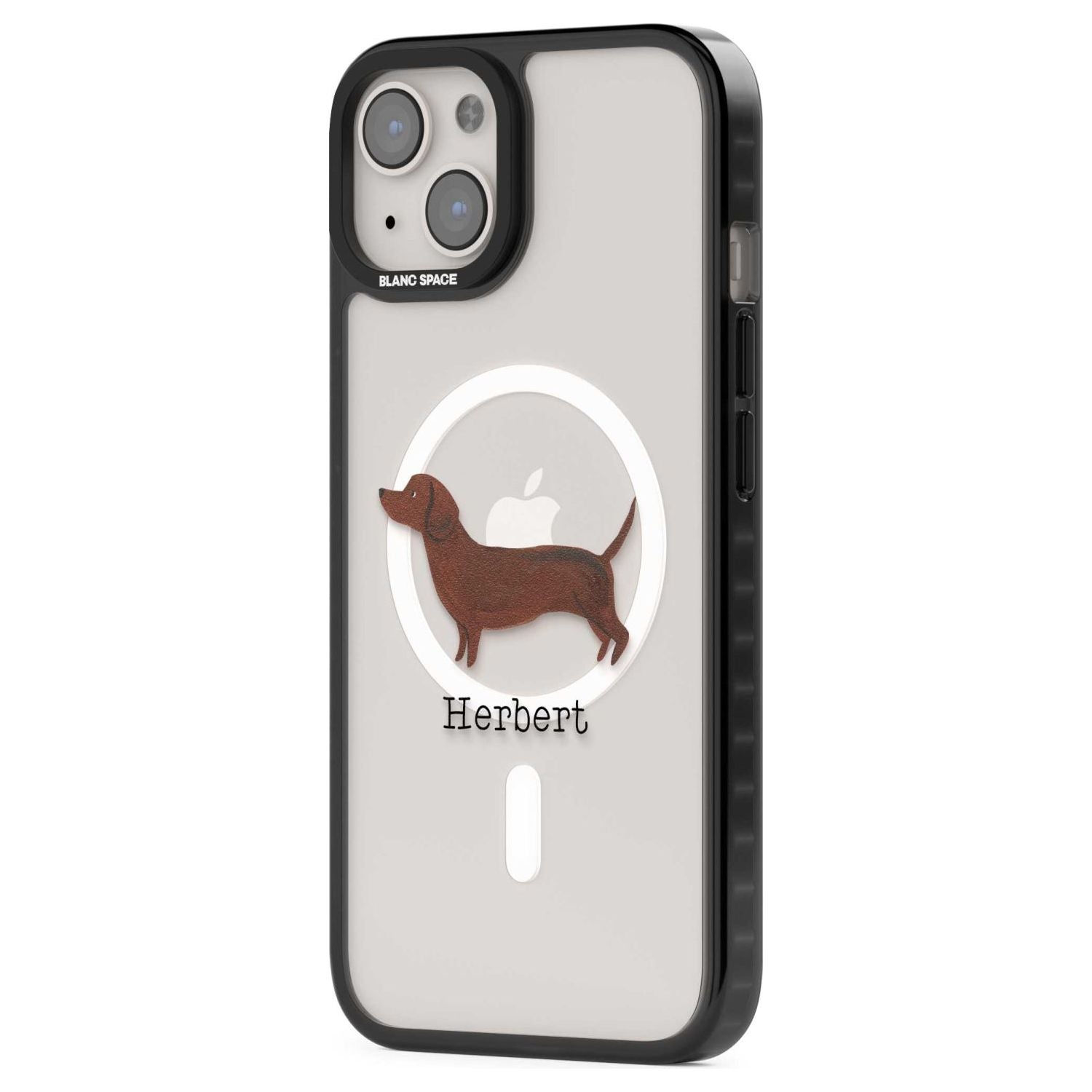 Personalised Hand Painted Sausage Dog