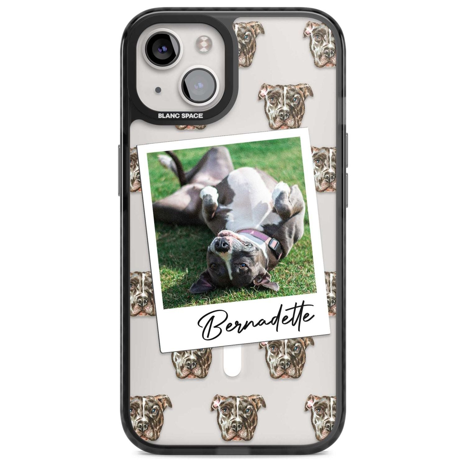 Personalised Staffordshire Bull Terrier - Dog Photo
