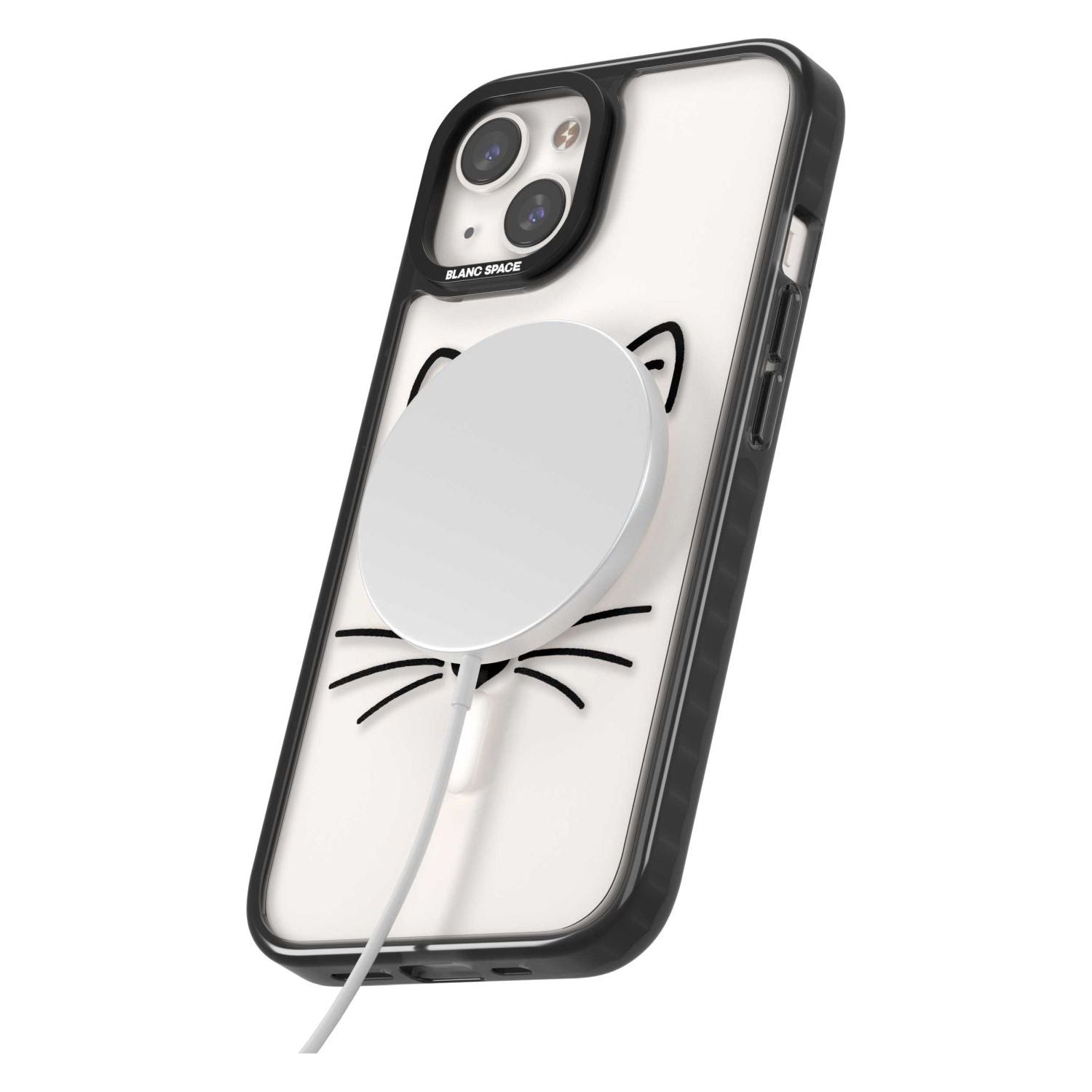 Cat Whiskers