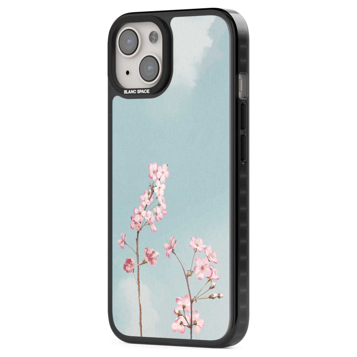 Blossom Flower Sky