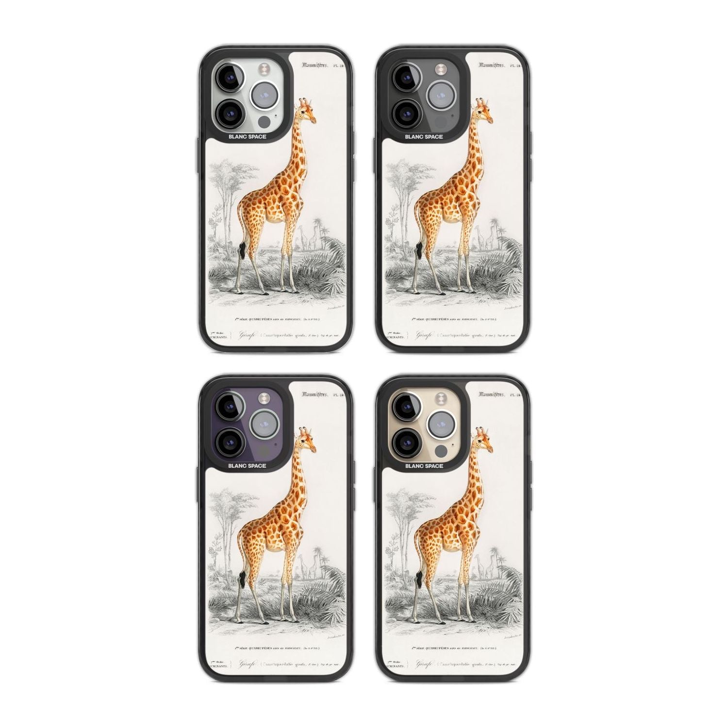 Vintage Giraffe Art