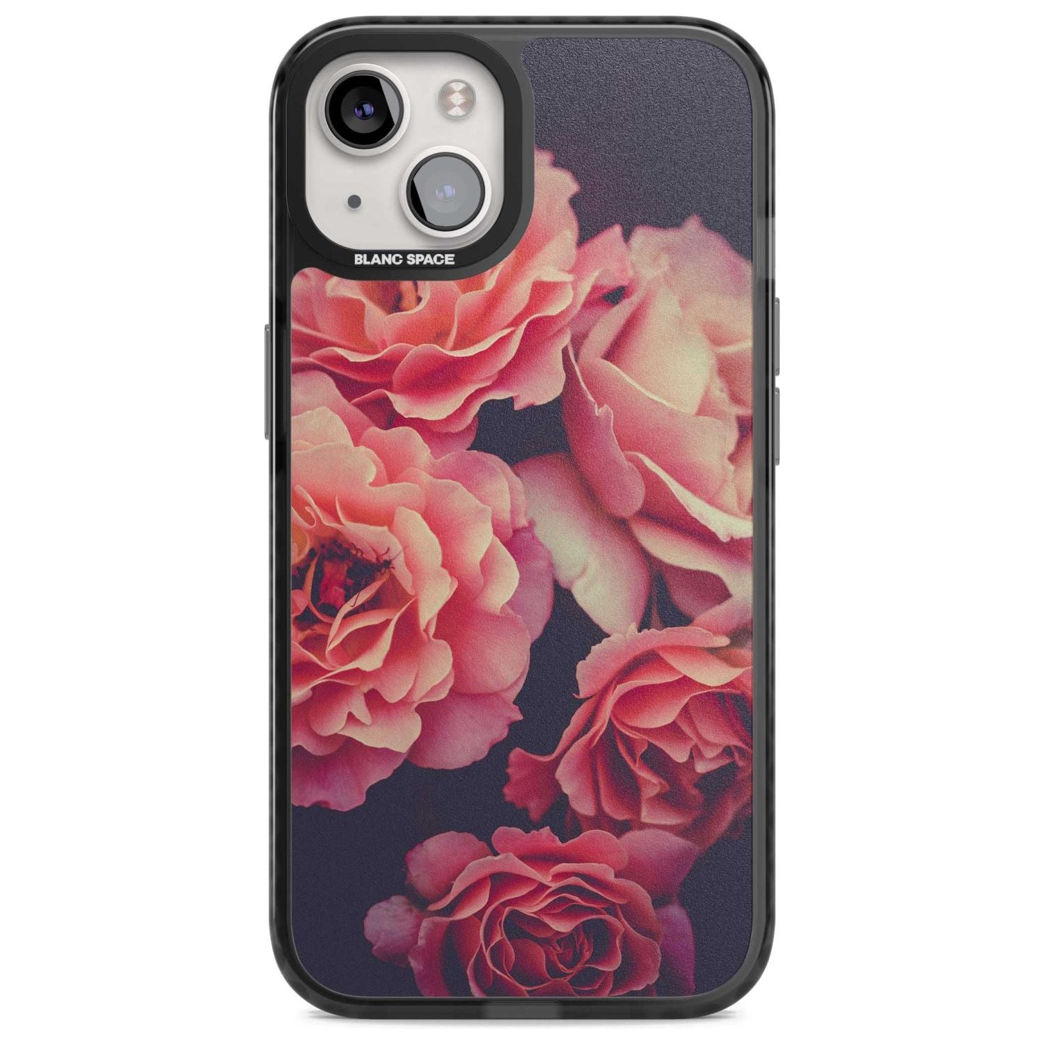 Midnight Rose Bloom