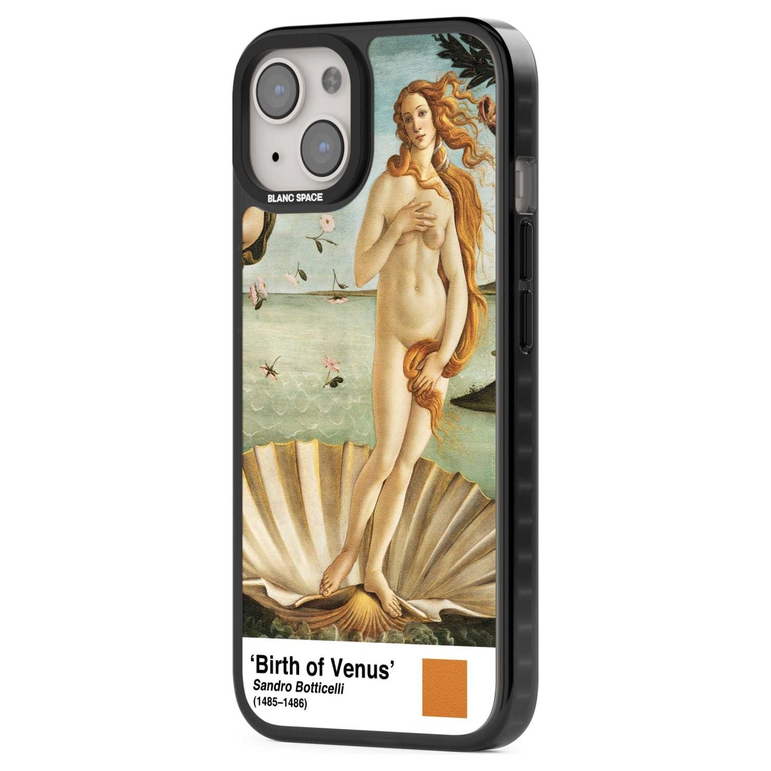 The Birth Of Venus