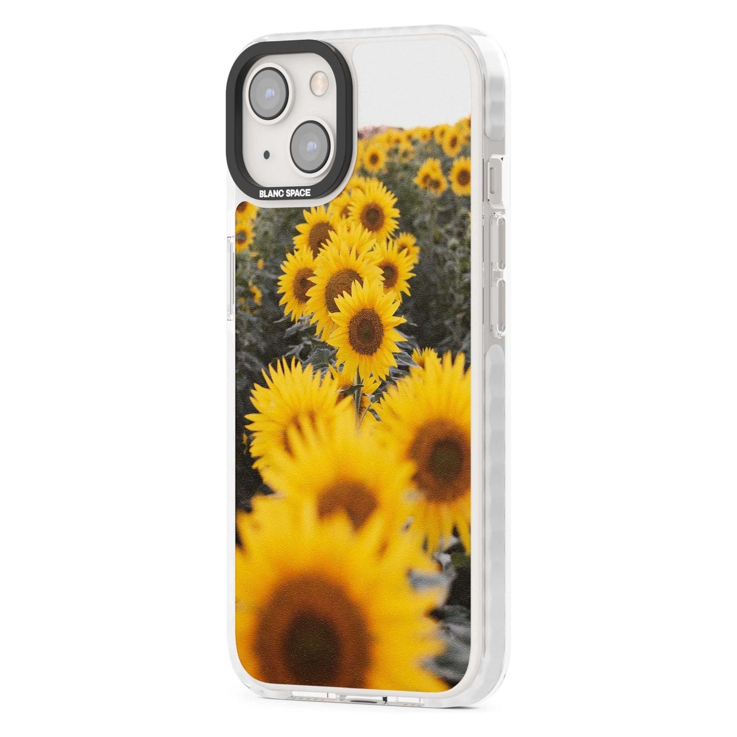 Sunflower Field
