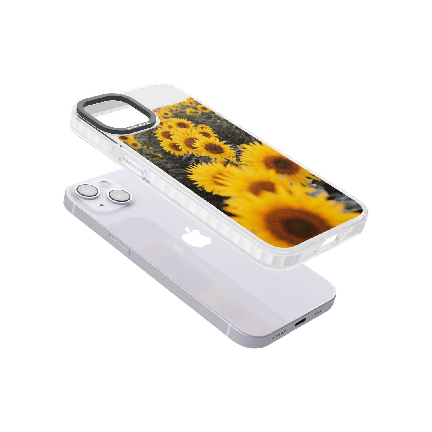 Sunflower Field