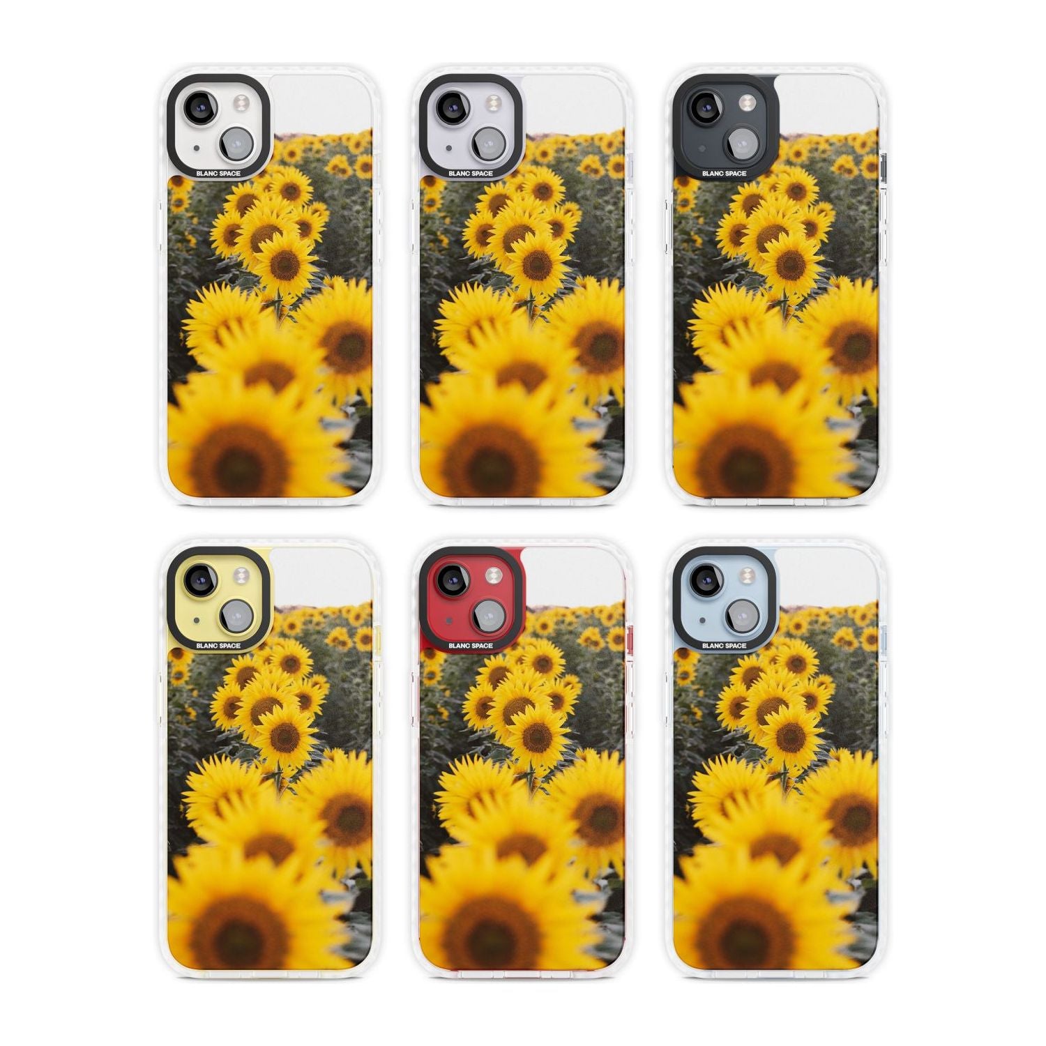 Sunflower Field