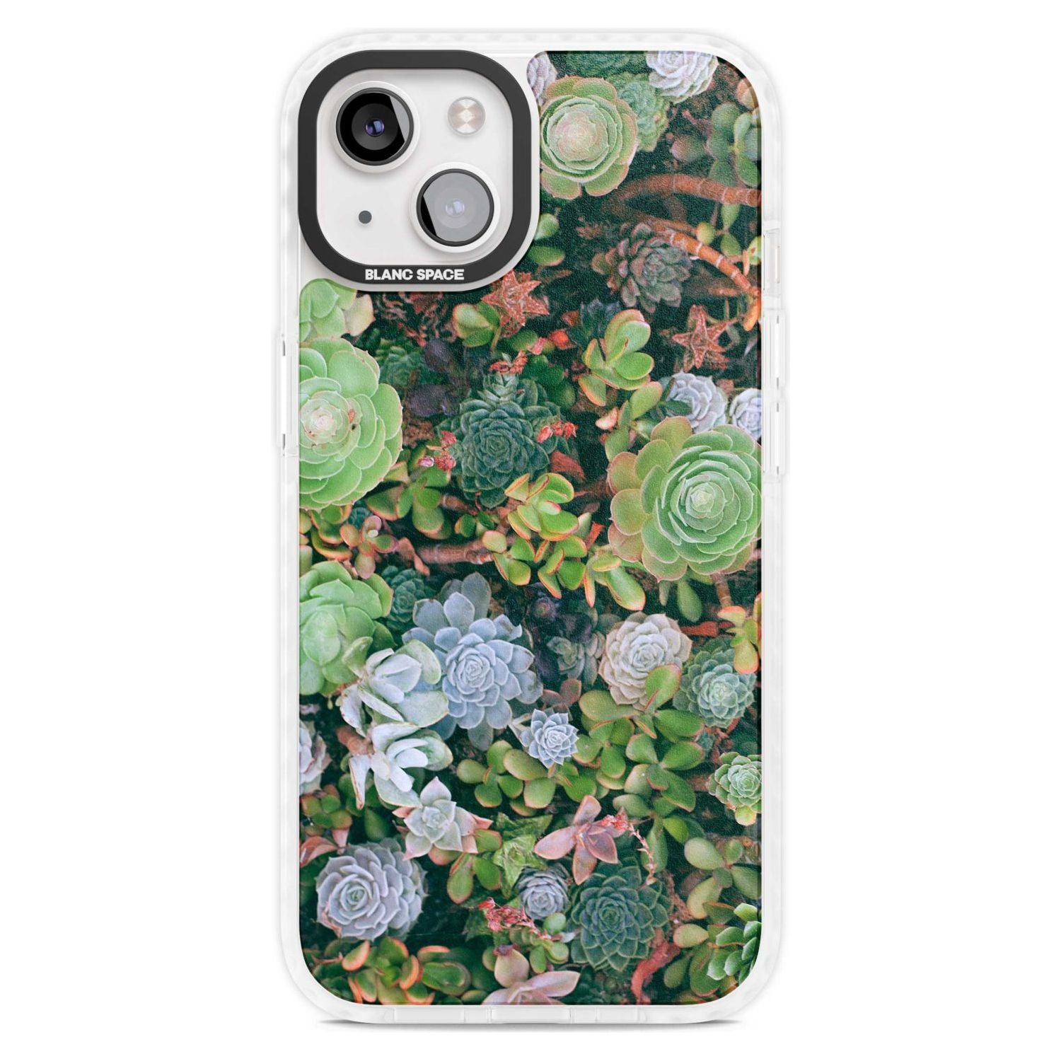 Colourful Succulents Phone Case iPhone 15 Plus / Magsafe Impact Case,iPhone 15 / Magsafe Impact Case Blanc Space