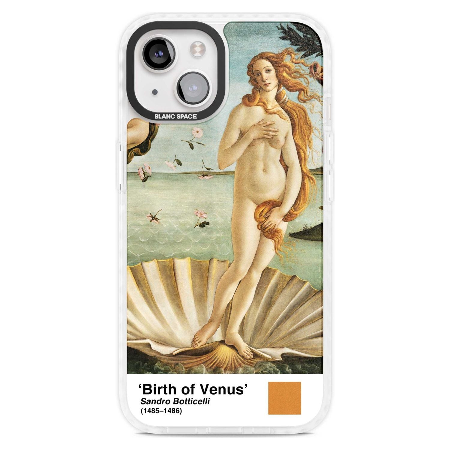 The Birth Of Venus