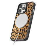 Designer Fashion Gold Leopard Print Phone Case iPhone 15 Pro Max / Black Impact Case,iPhone 15 Plus / Black Impact Case,iPhone 15 Pro / Black Impact Case,iPhone 15 / Black Impact Case,iPhone 15 Pro Max / Impact Case,iPhone 15 Plus / Impact Case,iPhone 15 Pro / Impact Case,iPhone 15 / Impact Case,iPhone 15 Pro Max / Magsafe Black Impact Case,iPhone 15 Plus / Magsafe Black Impact Case,iPhone 15 Pro / Magsafe Black Impact Case,iPhone 15 / Magsafe Black Impact Case,iPhone 14 Pro Max / Black Impact Case,iPhone 1