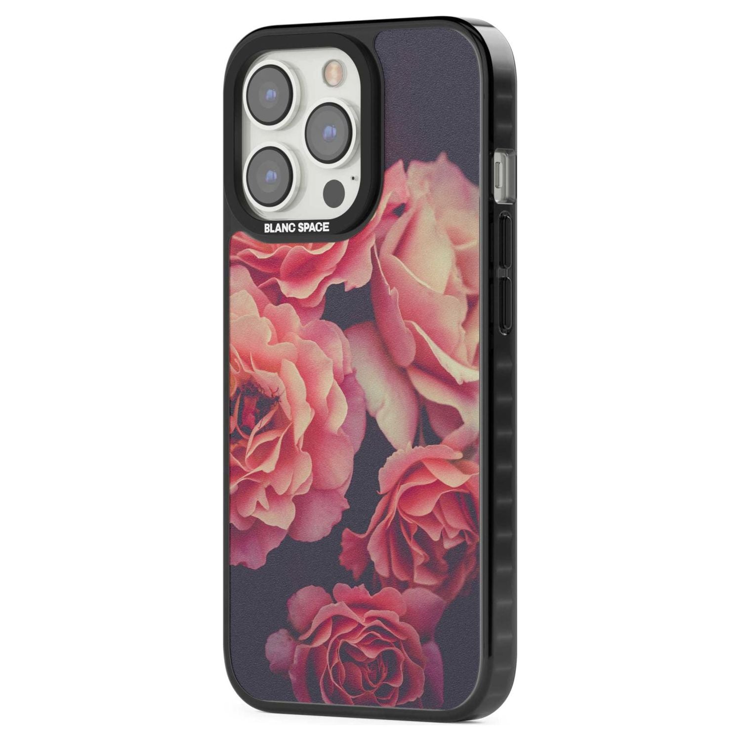 Midnight Rose Bloom