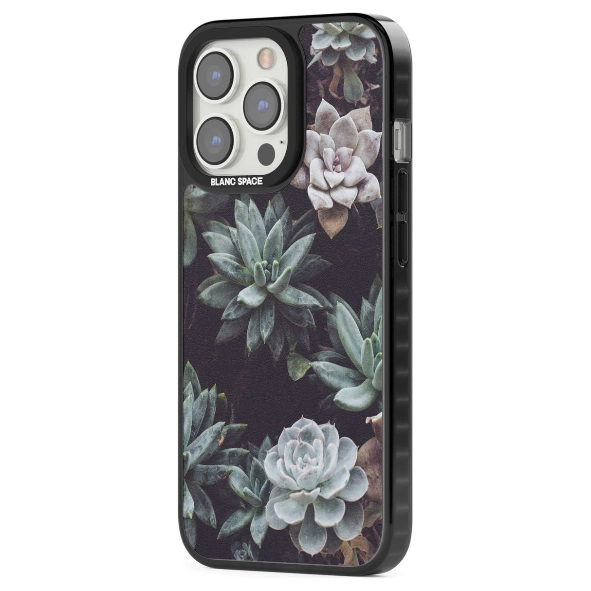 Mixed Succulents - Real Botanical Photographs Phone Case iPhone 15 Pro Max / Black Impact Case,iPhone 15 Plus / Black Impact Case,iPhone 15 Pro / Black Impact Case,iPhone 15 / Black Impact Case,iPhone 15 Pro Max / Impact Case,iPhone 15 Plus / Impact Case,iPhone 15 Pro / Impact Case,iPhone 15 / Impact Case,iPhone 15 Pro Max / Magsafe Black Impact Case,iPhone 15 Plus / Magsafe Black Impact Case,iPhone 15 Pro / Magsafe Black Impact Case,iPhone 15 / Magsafe Black Impact Case,iPhone 14 Pro Max / Black Impact Cas