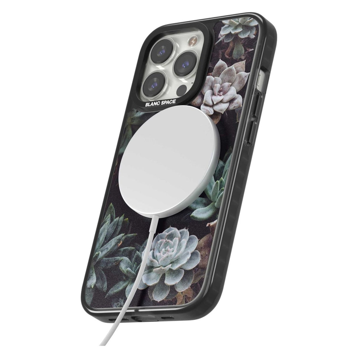 Mixed Succulents - Real Botanical Photographs Phone Case iPhone 15 Pro Max / Black Impact Case,iPhone 15 Plus / Black Impact Case,iPhone 15 Pro / Black Impact Case,iPhone 15 / Black Impact Case,iPhone 15 Pro Max / Impact Case,iPhone 15 Plus / Impact Case,iPhone 15 Pro / Impact Case,iPhone 15 / Impact Case,iPhone 15 Pro Max / Magsafe Black Impact Case,iPhone 15 Plus / Magsafe Black Impact Case,iPhone 15 Pro / Magsafe Black Impact Case,iPhone 15 / Magsafe Black Impact Case,iPhone 14 Pro Max / Black Impact Cas