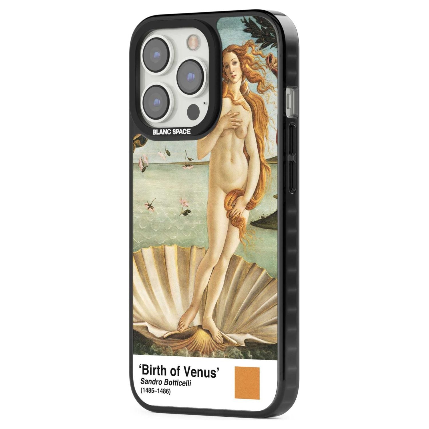 The Birth Of Venus