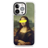 VANDALED MONA LISA