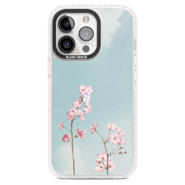 Blossom Flower Sky
