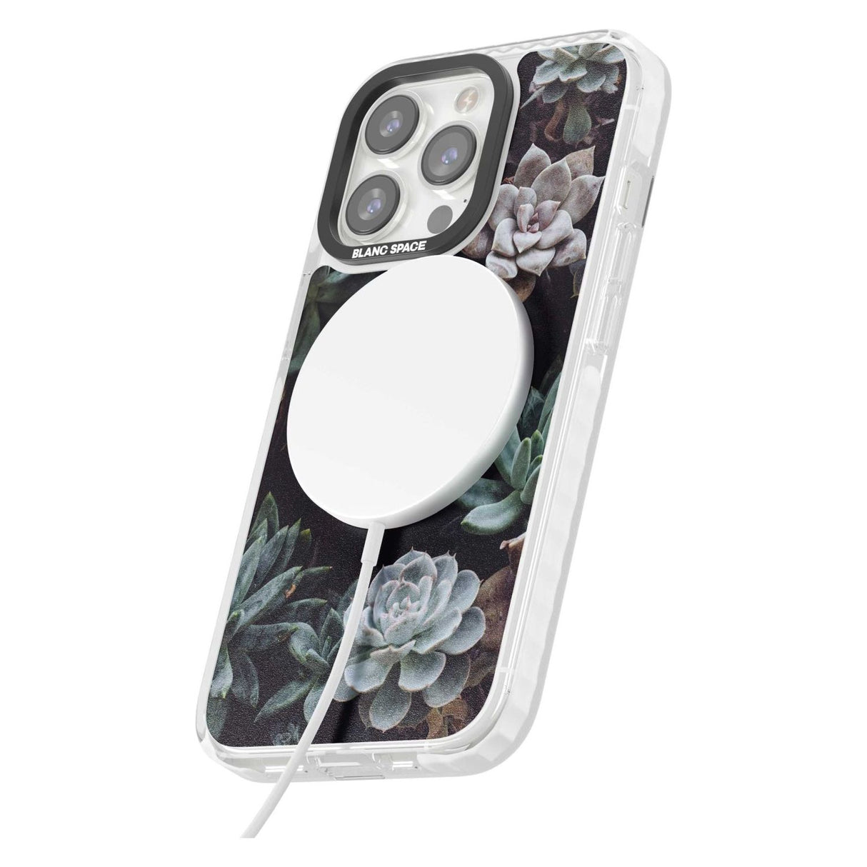 Mixed Succulents - Real Botanical Photographs Phone Case iPhone 15 Pro Max / Black Impact Case,iPhone 15 Plus / Black Impact Case,iPhone 15 Pro / Black Impact Case,iPhone 15 / Black Impact Case,iPhone 15 Pro Max / Impact Case,iPhone 15 Plus / Impact Case,iPhone 15 Pro / Impact Case,iPhone 15 / Impact Case,iPhone 15 Pro Max / Magsafe Black Impact Case,iPhone 15 Plus / Magsafe Black Impact Case,iPhone 15 Pro / Magsafe Black Impact Case,iPhone 15 / Magsafe Black Impact Case,iPhone 14 Pro Max / Black Impact Cas