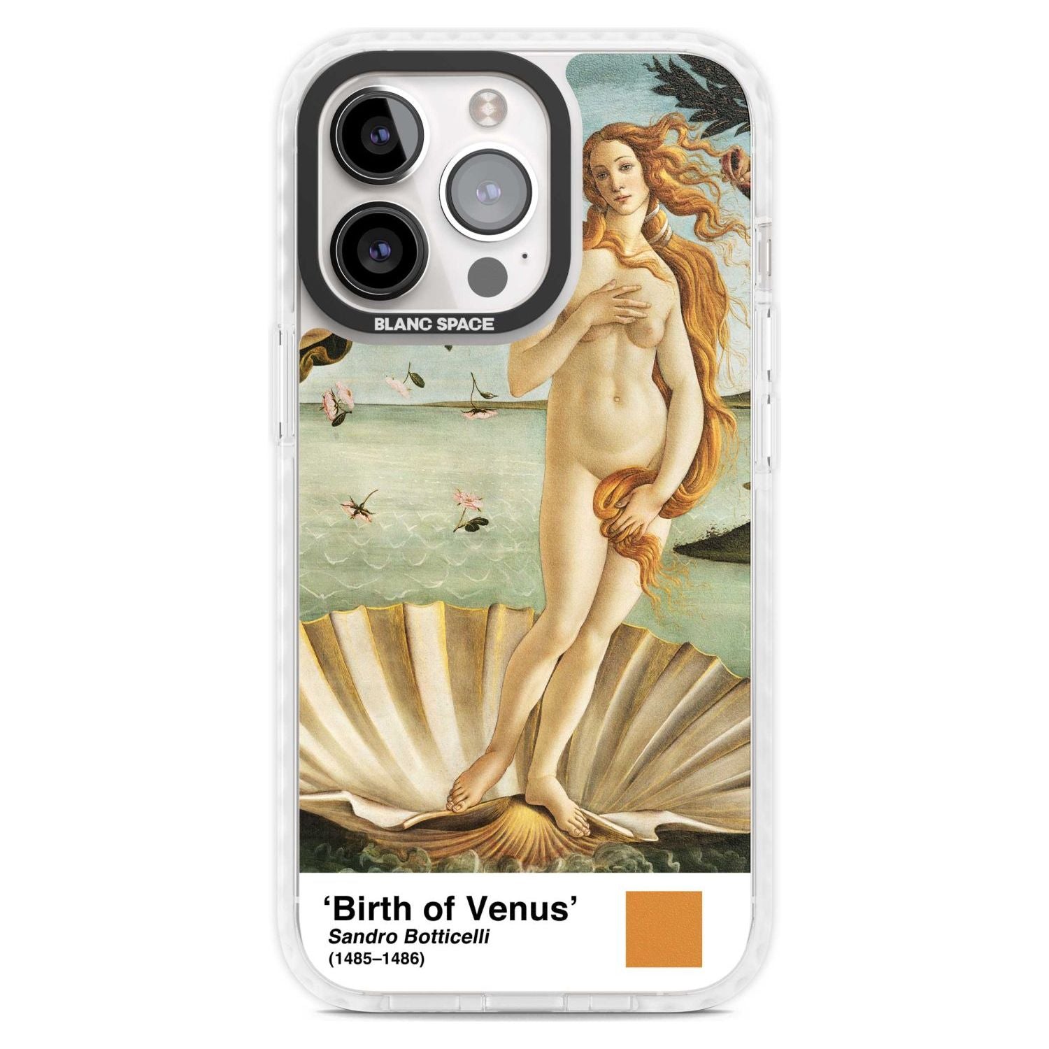The Birth Of Venus