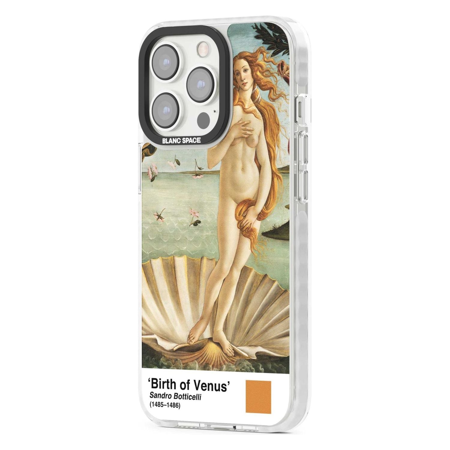 The Birth Of Venus