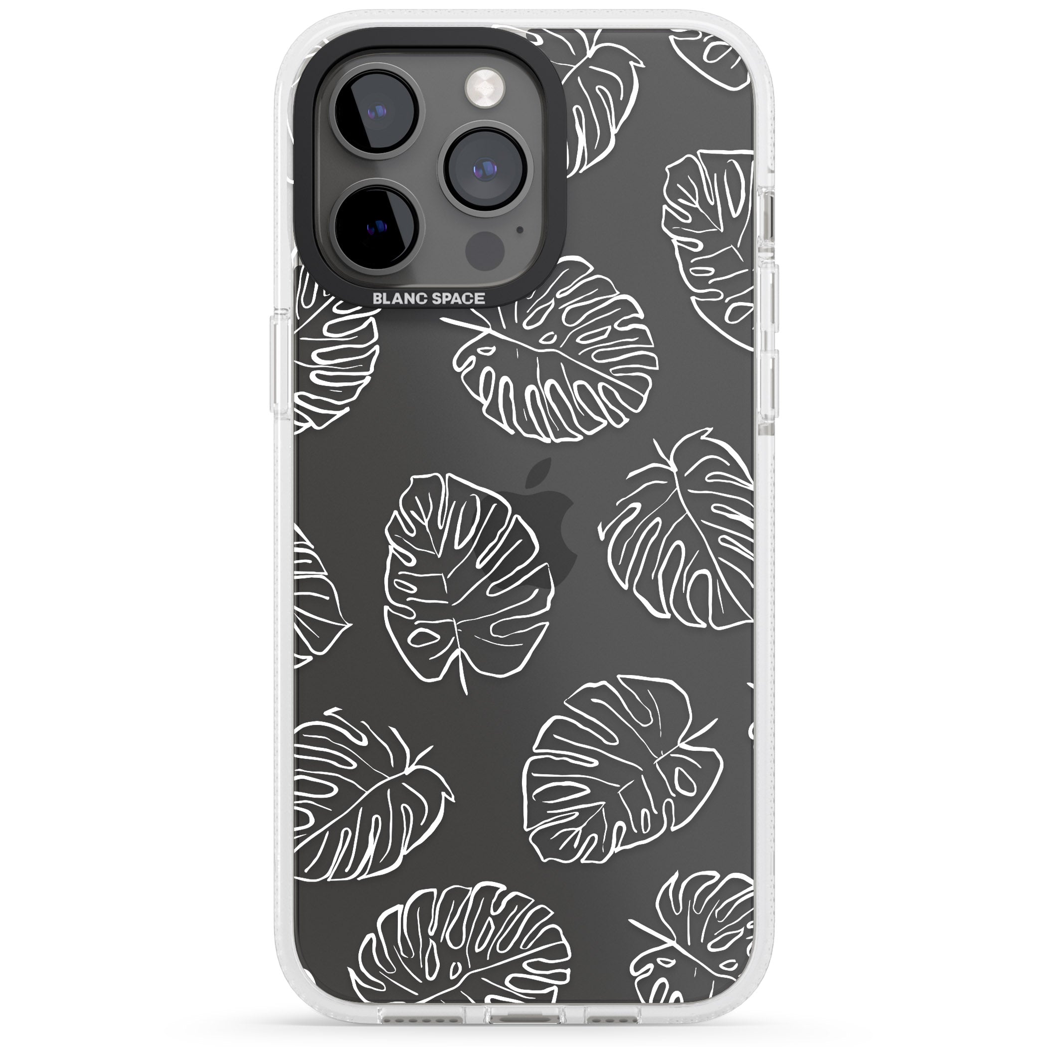 Monstera Outline