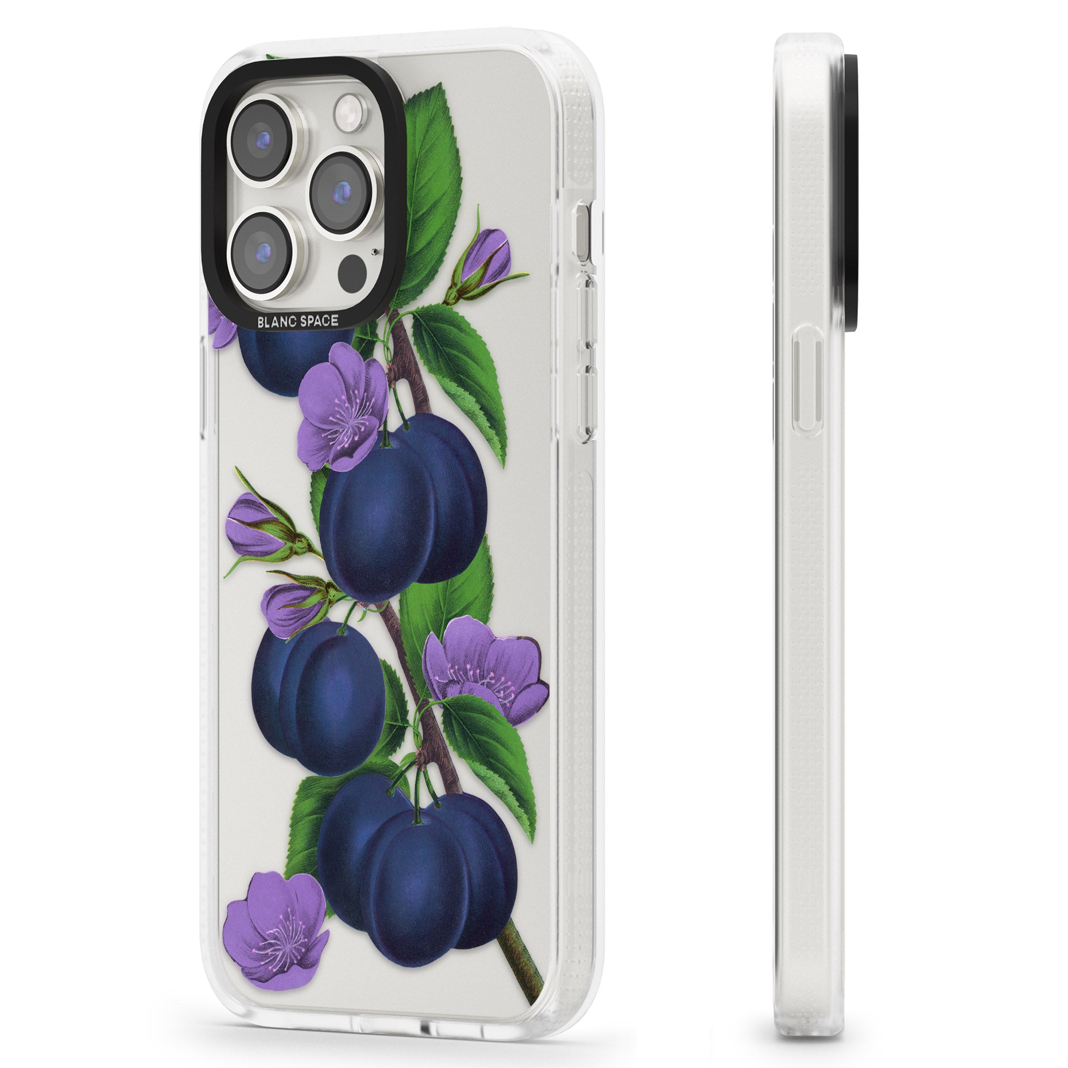 Vintage Painted Plums iPhone 15 Pro Max / 15 Pro / 14 Pro Max / 14 Pro / 13 Pro Clear Case Impact Air - Blanc Space