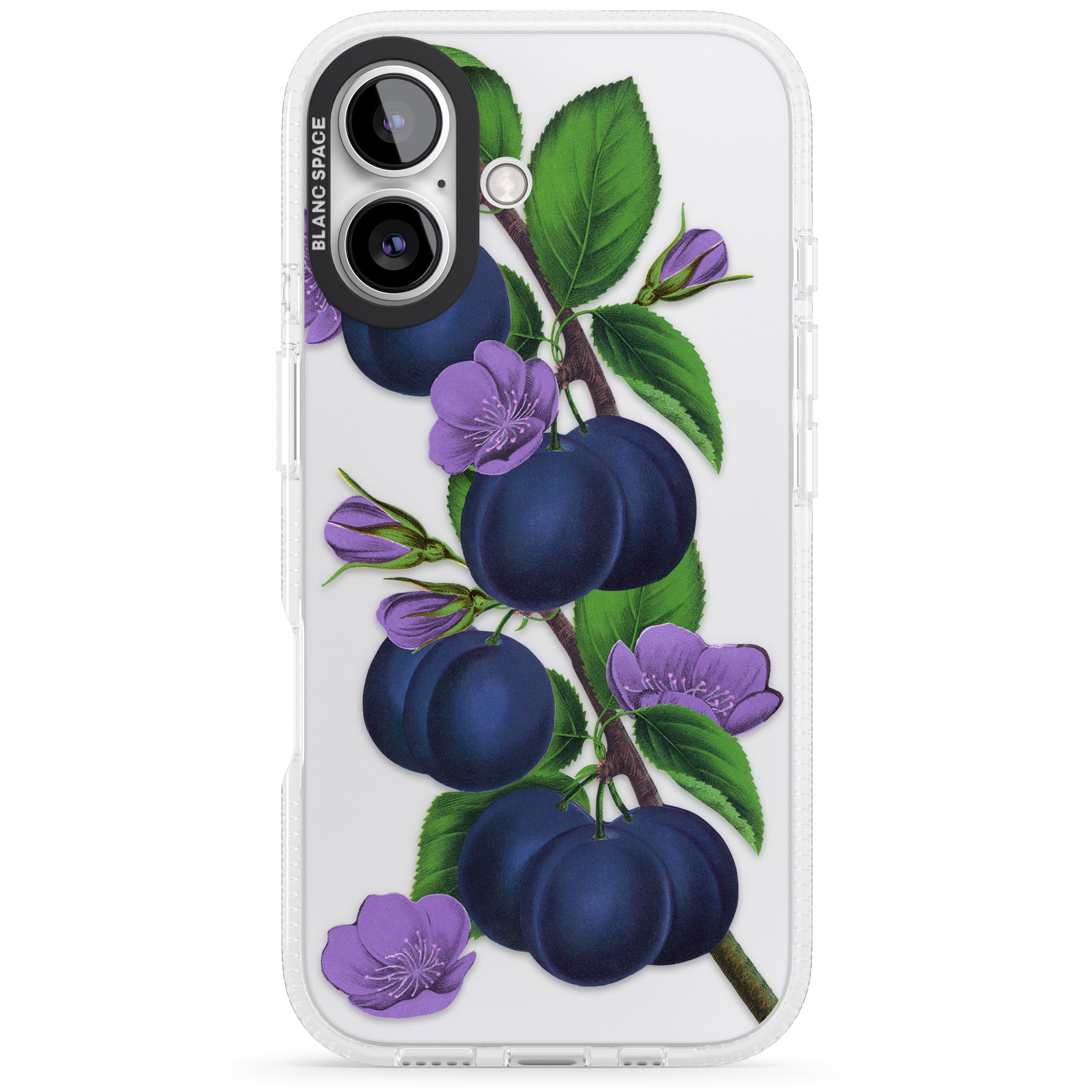 Vintage Painted Plums iPhone 16 / 16 Plus Clear Case Impact Air - Blanc Space