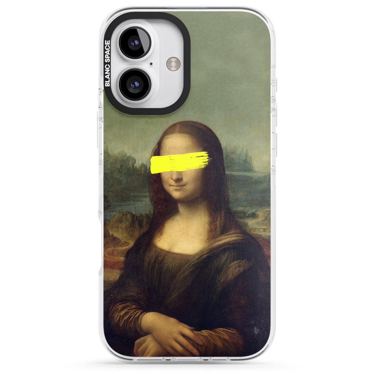 VANDALED MONA LISA