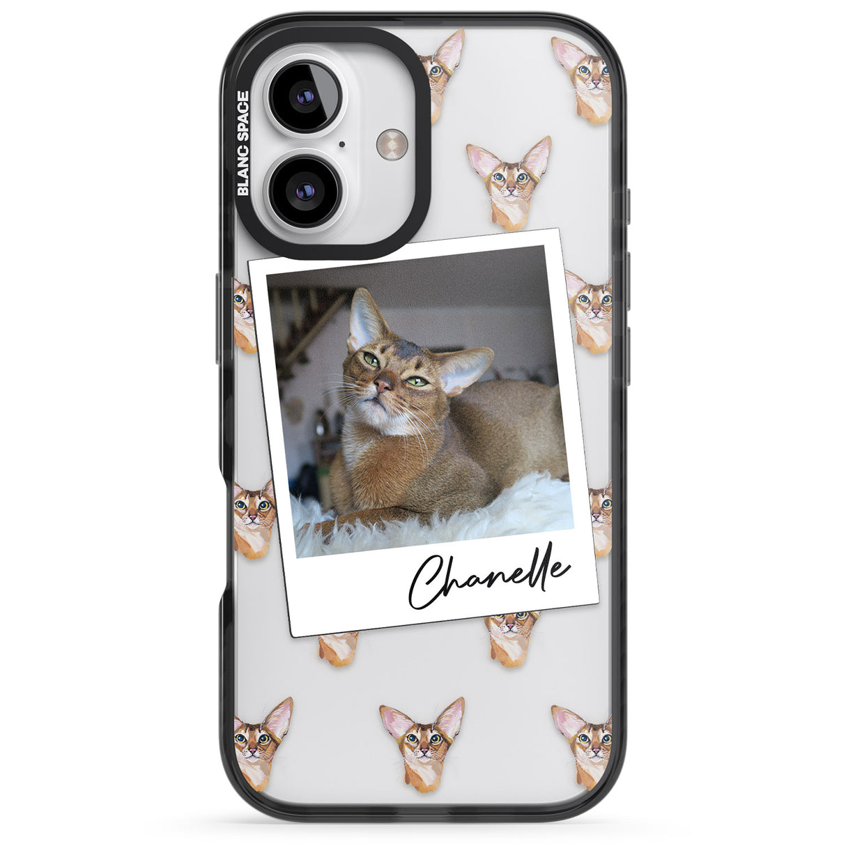 Personalised Abyssinian Cat Photo