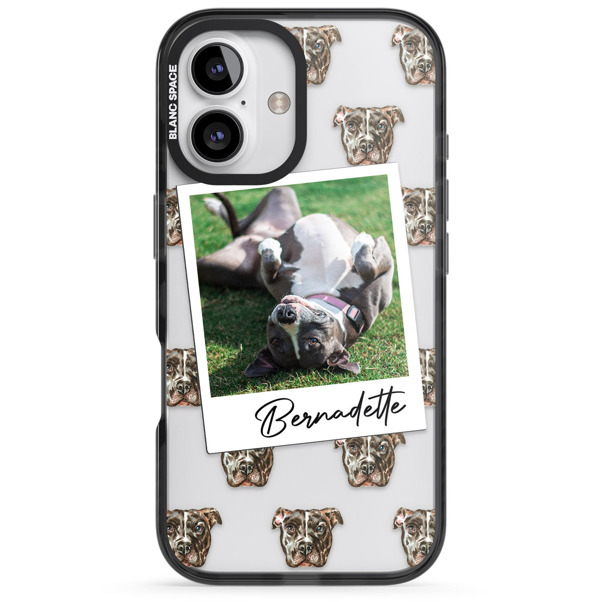 Personalised Staffordshire Bull Terrier - Dog Photo