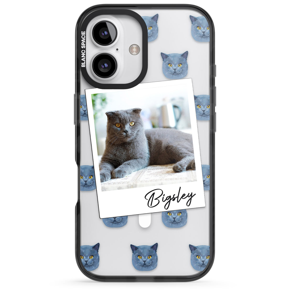 Personalised English Blue Cat Photo