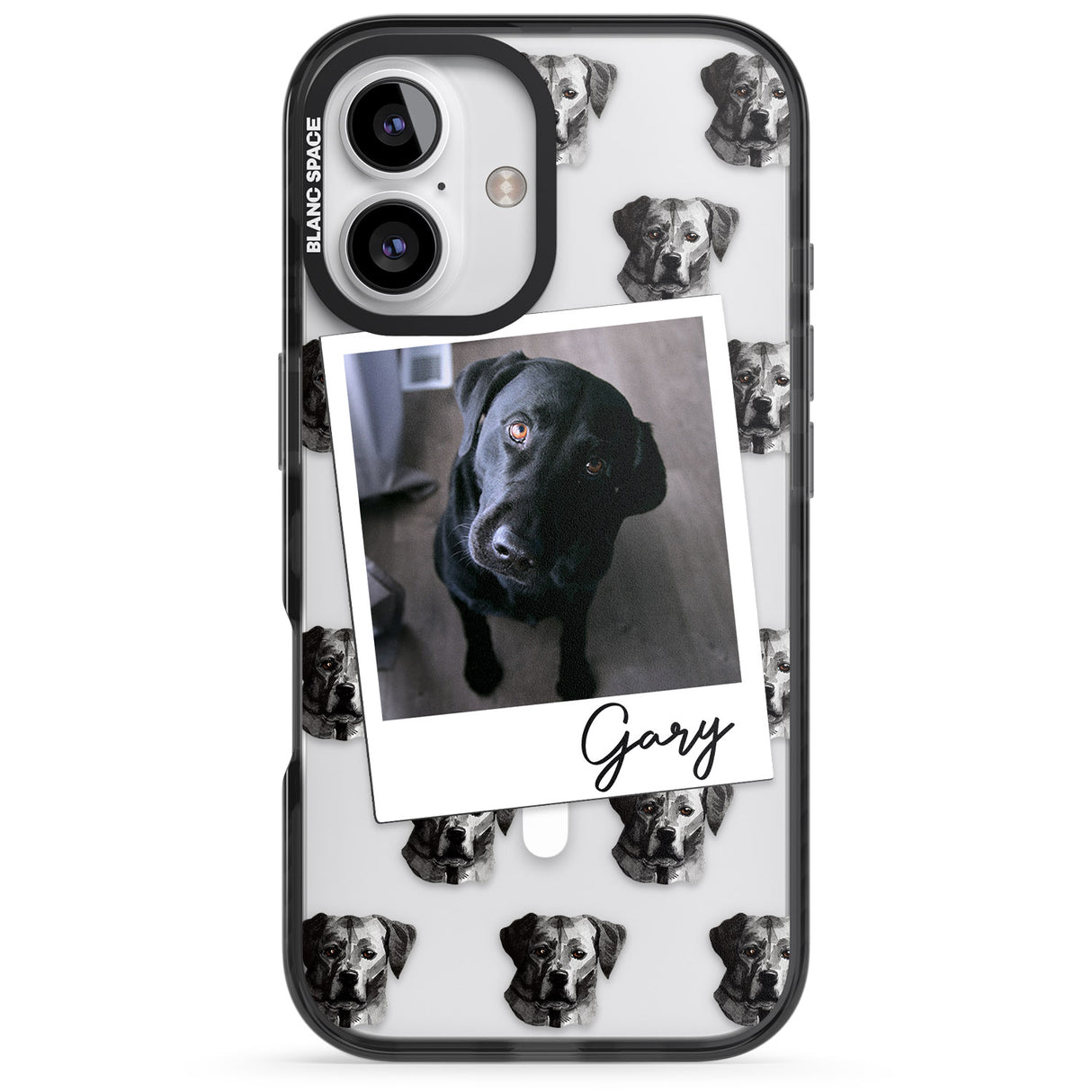 Personalised Labrador, Black - Dog Photo