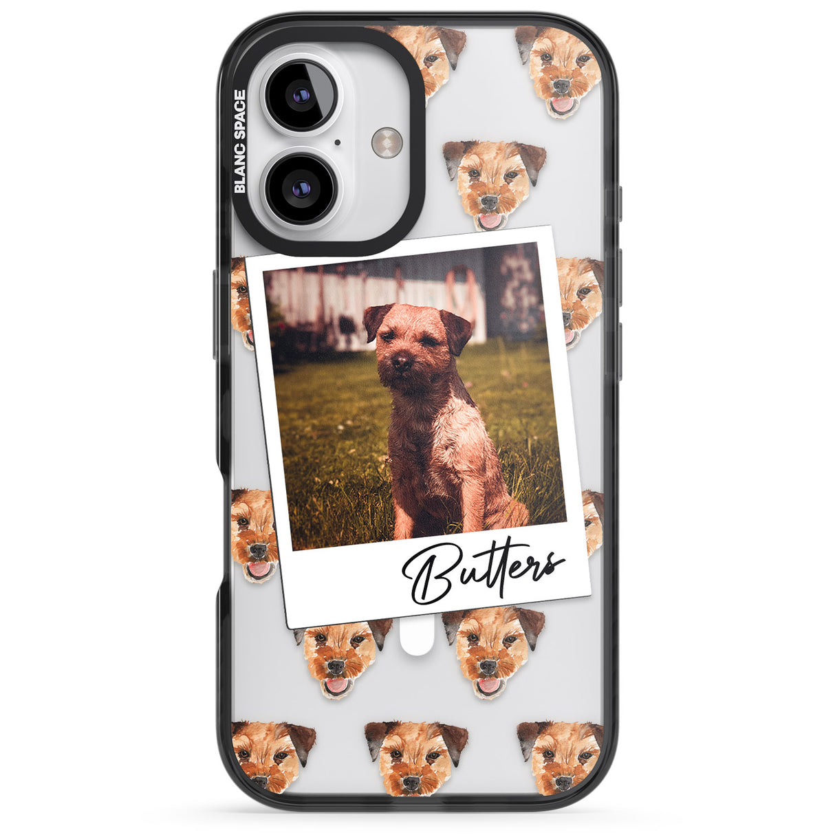 Personalised Border Terrier - Dog Photo