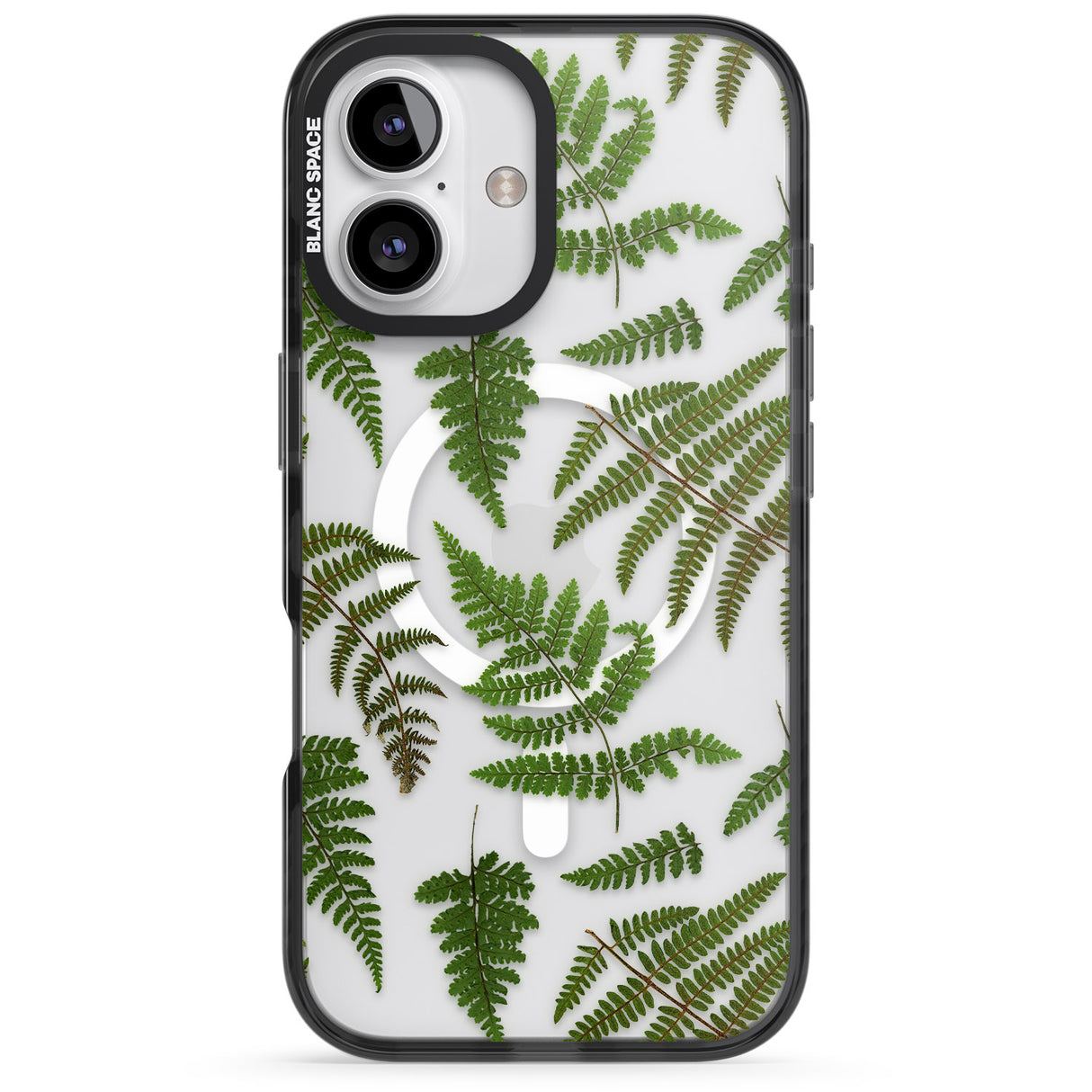 Leafy Ferns