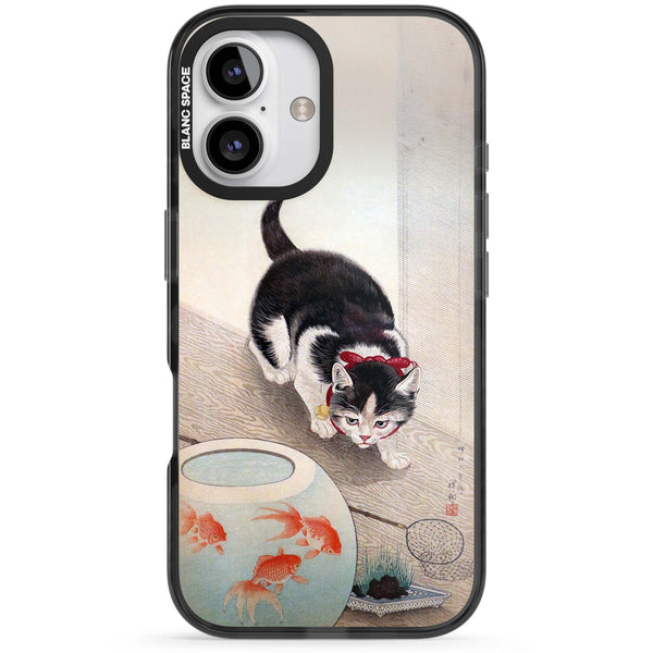 Cat & Goldfish Bowl