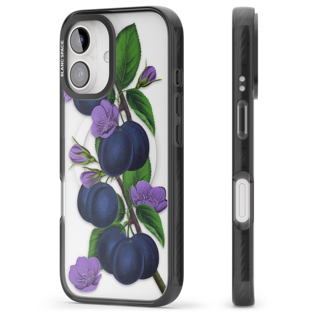 iPhone 16 Pro Max Vintage Painted Plums Black Impact Phone Case + Magsafe