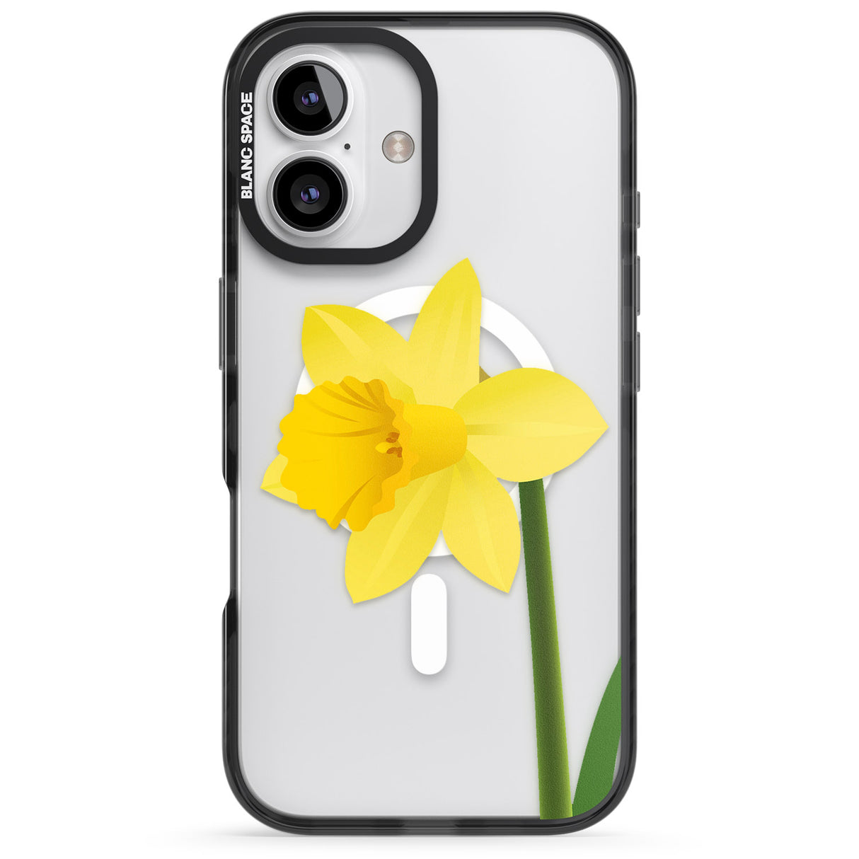 Daffodil