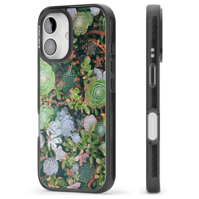 iPhone 16 Pro Max Colourful Succulents Photograph Black Impact Phone Case