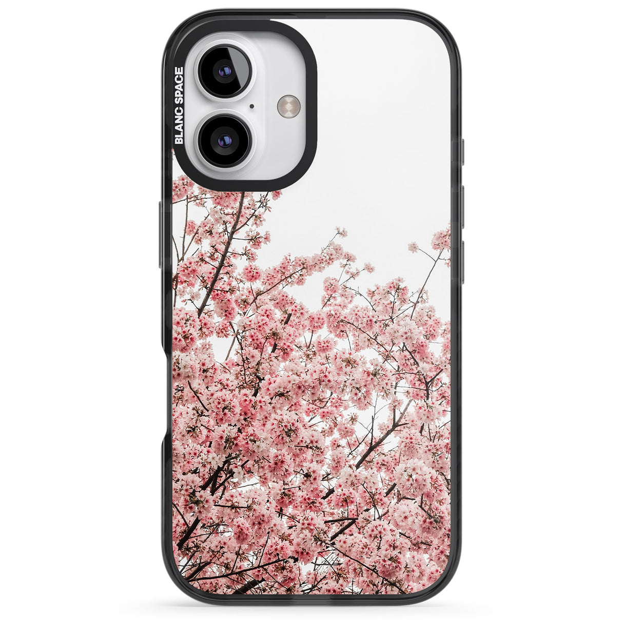 Cherry Blossoms - Real Floral Photographs