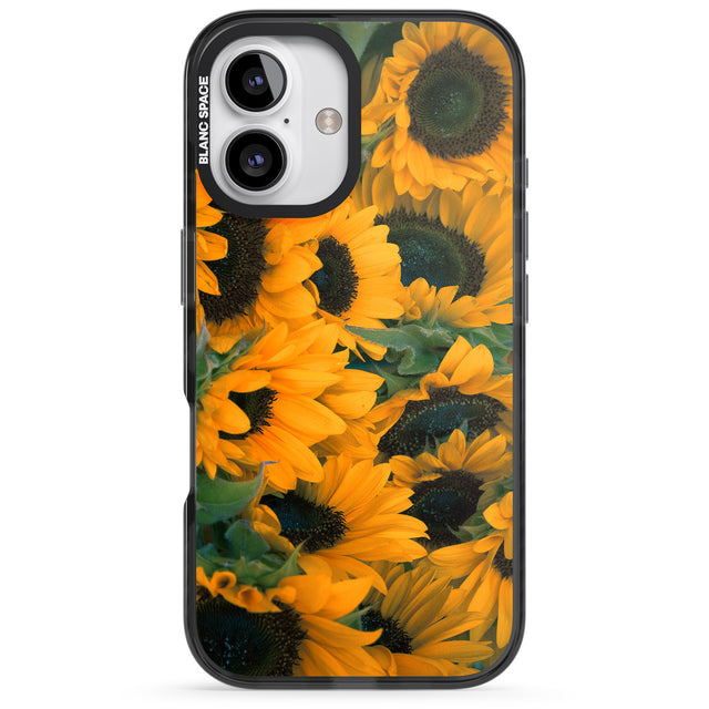 iPhone 16 Pro Max Sunflowers Black Impact Phone Case