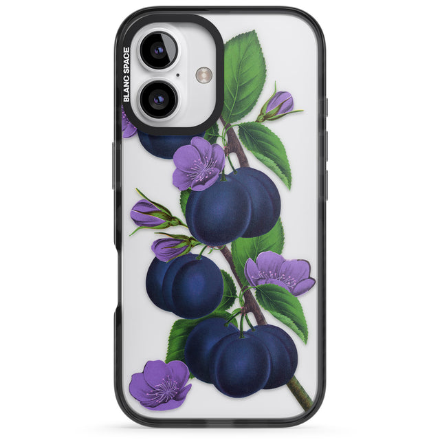 iPhone 16 Pro Max Vintage Painted Plums Black Impact Phone Case + Magsafe