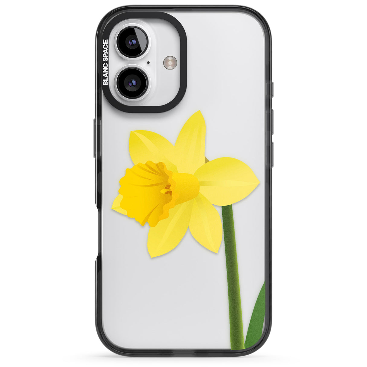 Daffodil